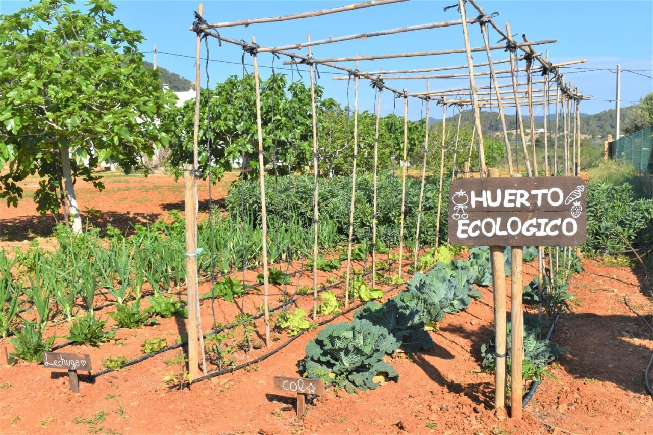 Agroturismo Sa Marina - Adults Only Vila Cala Boix Exterior foto